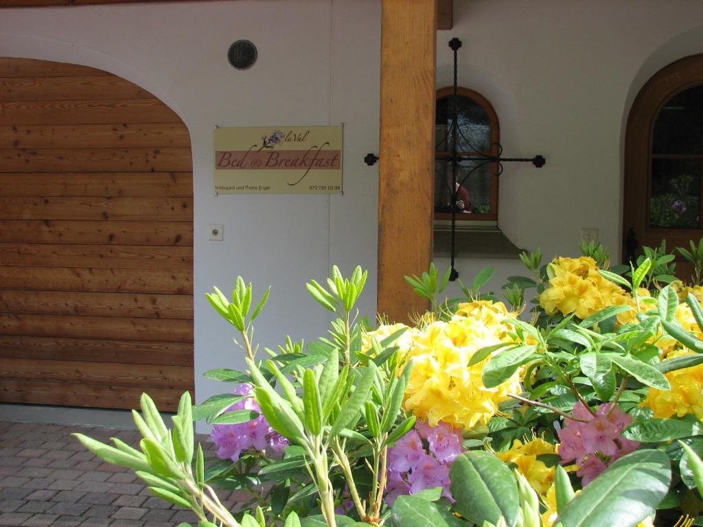 Bed & Breakfast La Val Trin Exterior photo