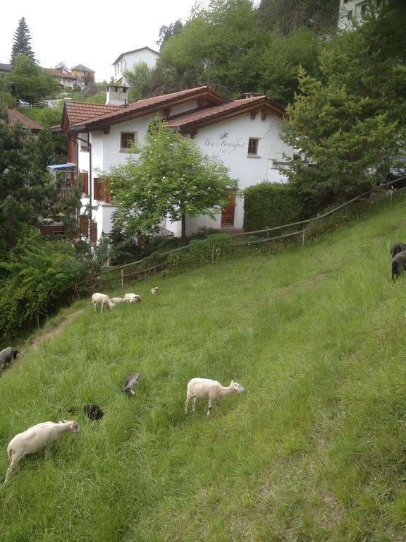Bed & Breakfast La Val Trin Exterior photo