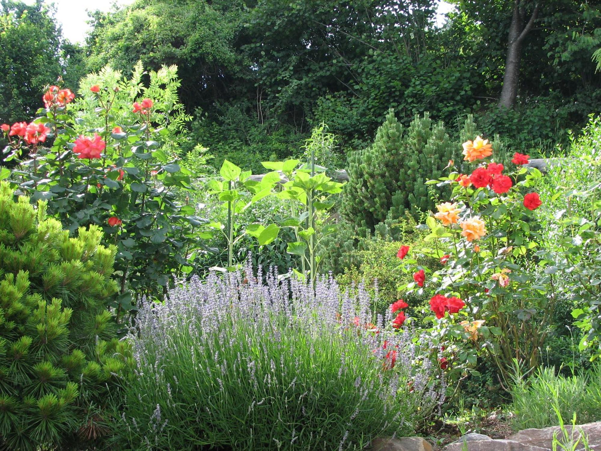 Bed & Breakfast La Val Trin Exterior photo